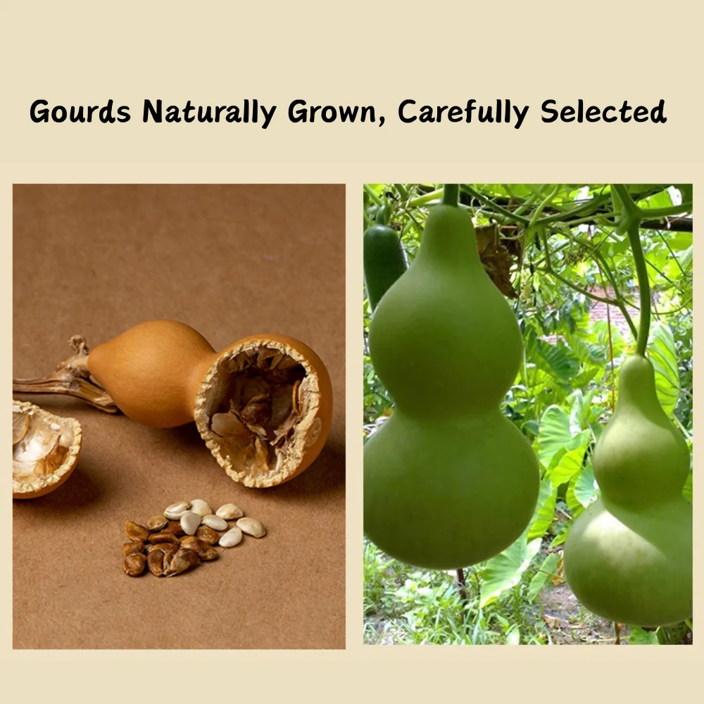 Natural Gourd Plum Blossom Pendant Walnut Wood Base Car Dashboard Ornament Handmade Carving Premium Gift - Image 9